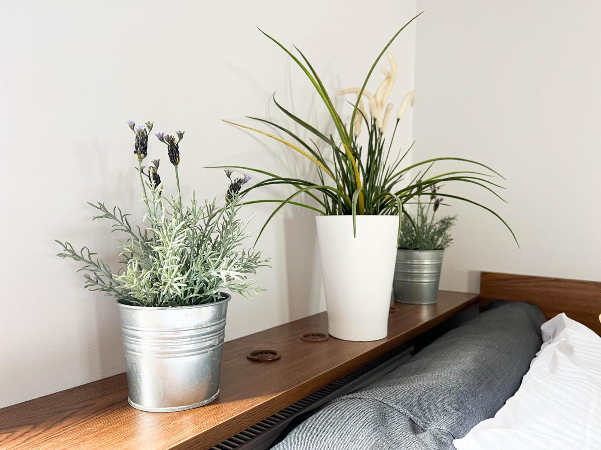 3D Szlak 77 Apartament Krakow Ngoại thất bức ảnh